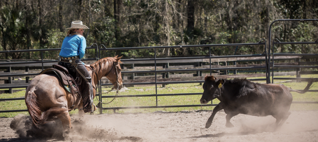 Equine Services